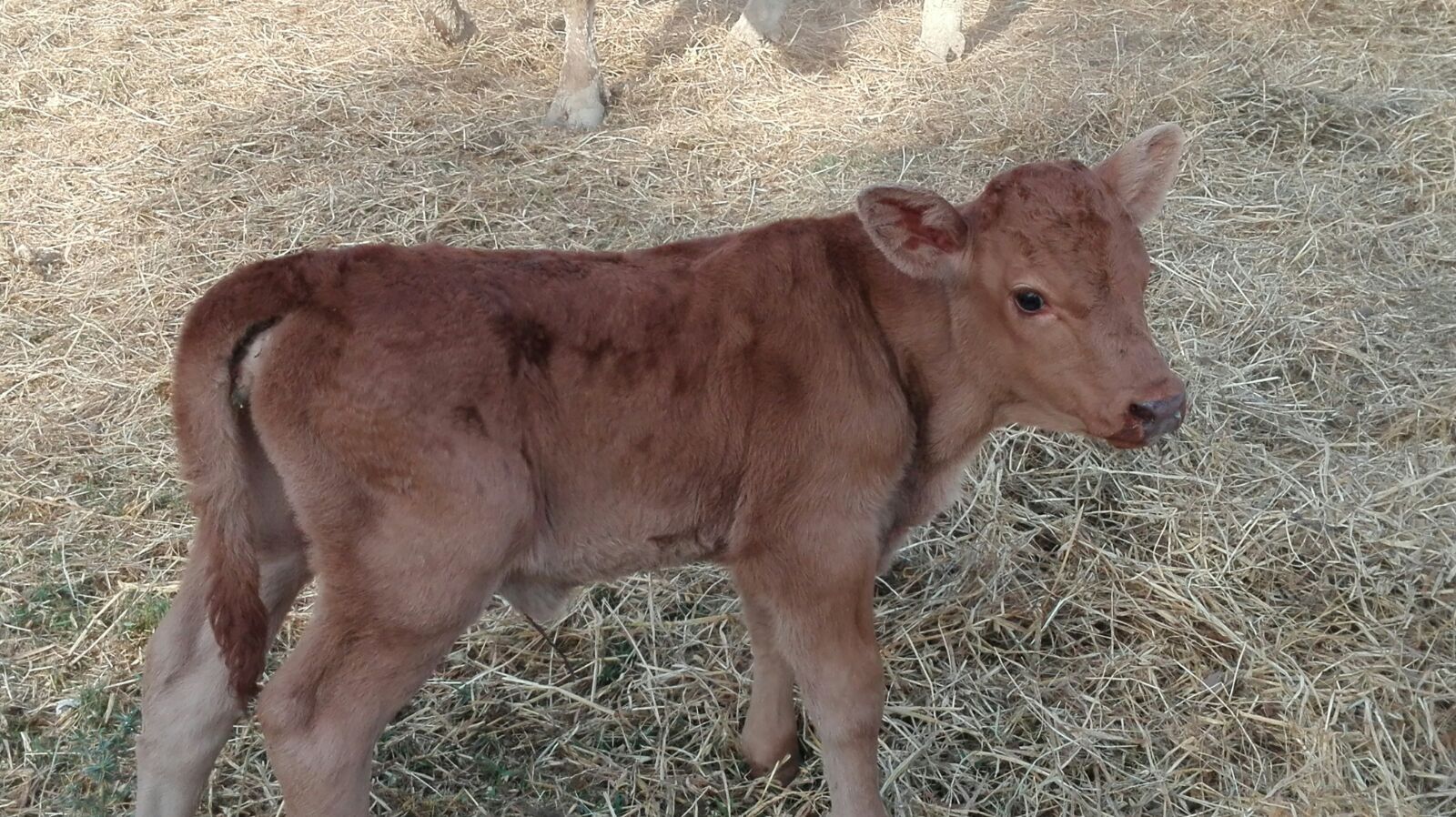 IMG-20160905-WA0012 (1)