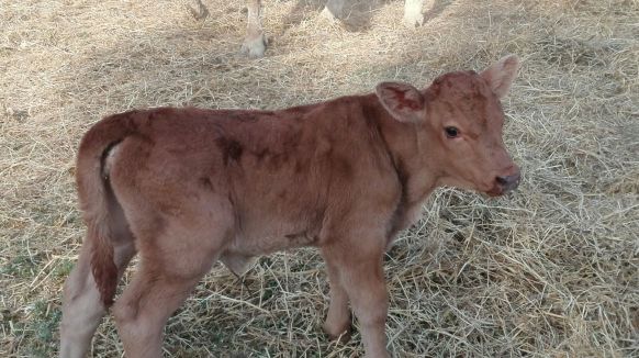 IMG-20160905-WA0012 (1)